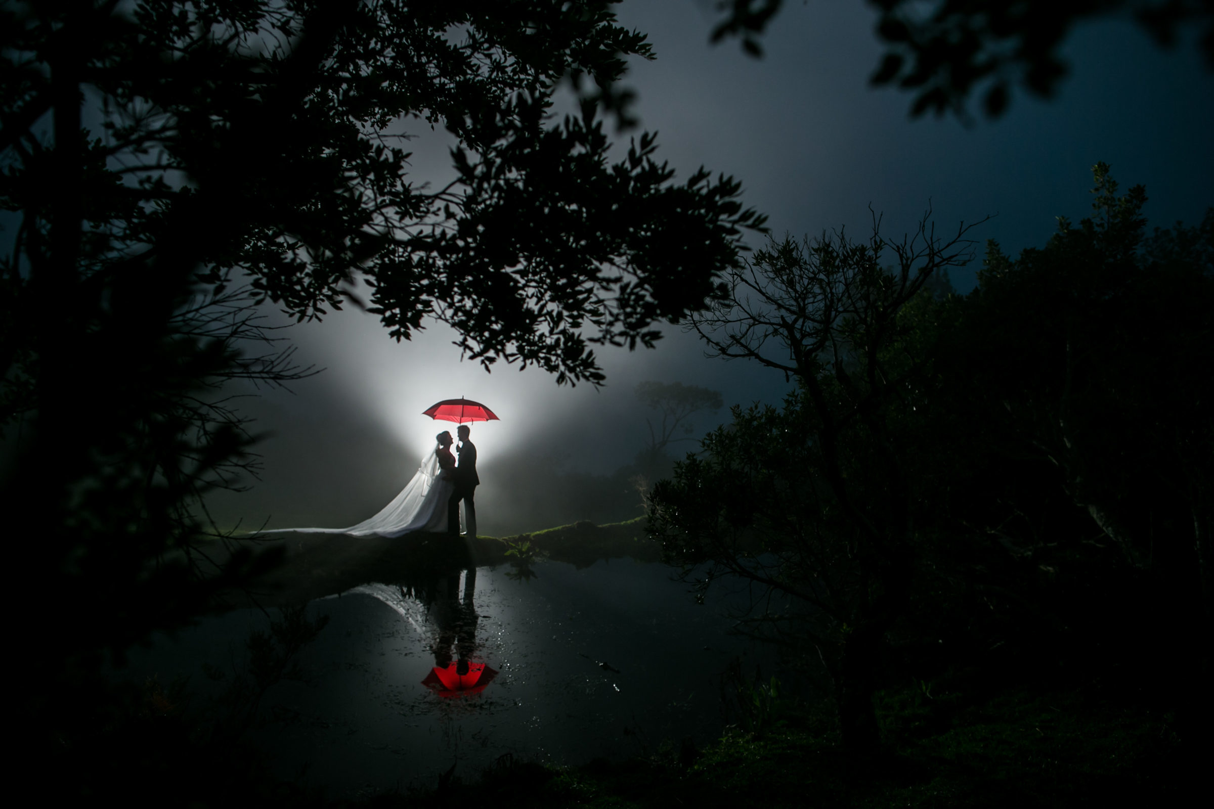 Foto de Fotografo de Casamento Milena Reinert 13