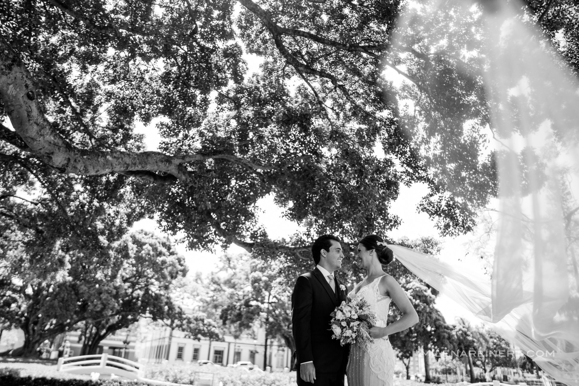 Foto Fotografia de Casamento Florianópolis | Eduarda + João Foto Fotografia de Casamento Florianópolis | Eduarda + João - Imagem 47