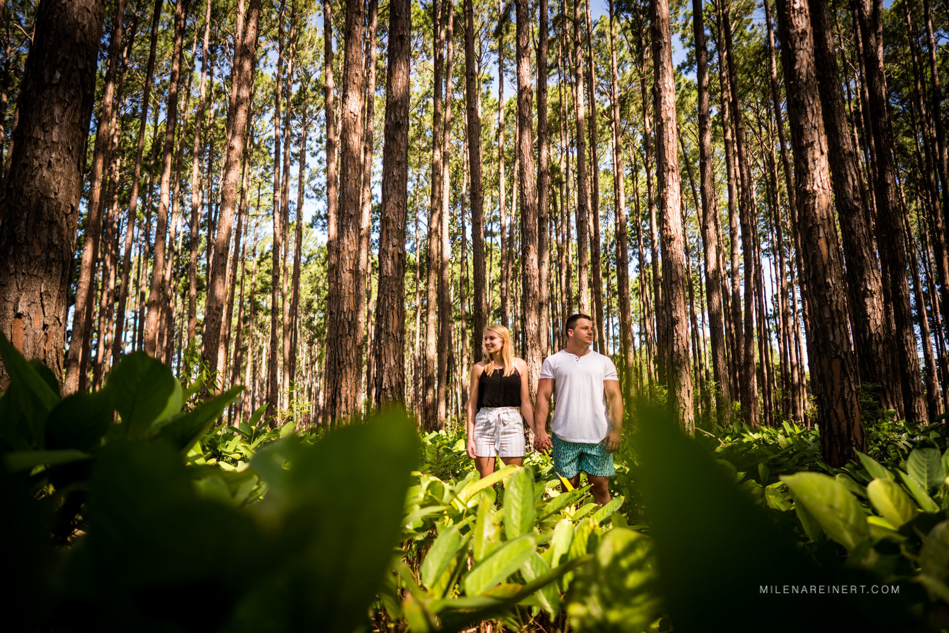 Foto Ensaio Pré Casamento Florianópolis | Holly + Caio Bottura Foto Ensaio Pré Casamento Florianópolis | Holly + Caio Bottura - Imagem 2