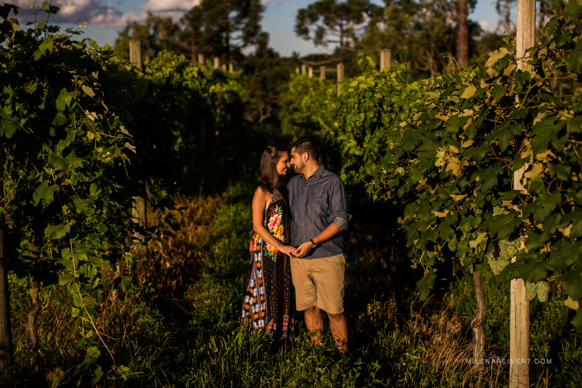 Foto Ensaio Pré Casamento | Júlia + Mário | Vinícola Thera Foto Ensaio Pré Casamento | Júlia + Mário | Vinícola Thera - Imagem 21