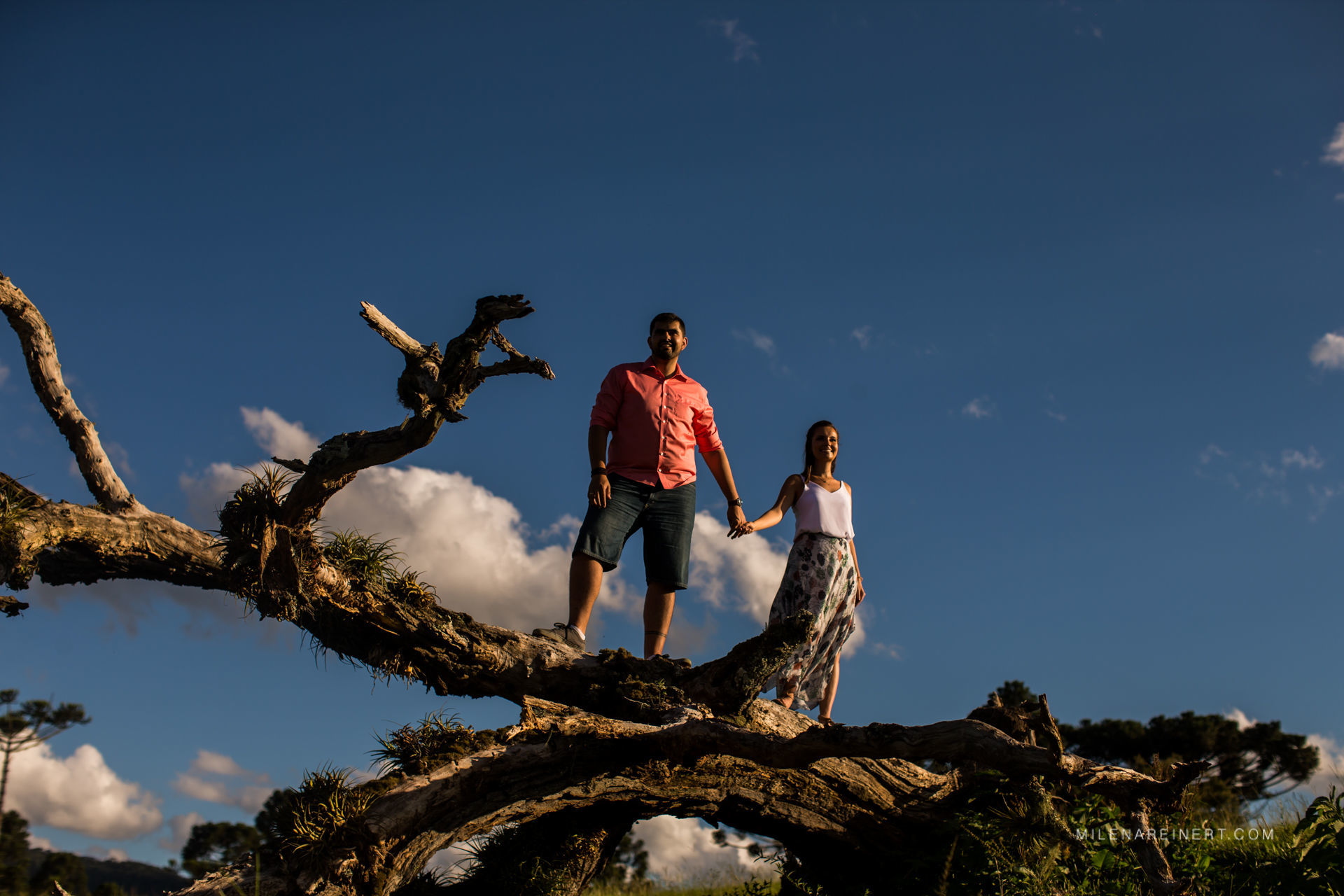 Foto Ensaio Pré Casamento | Júlia + Mário | Vinícola Thera Foto Ensaio Pré Casamento | Júlia + Mário | Vinícola Thera - Imagem 18