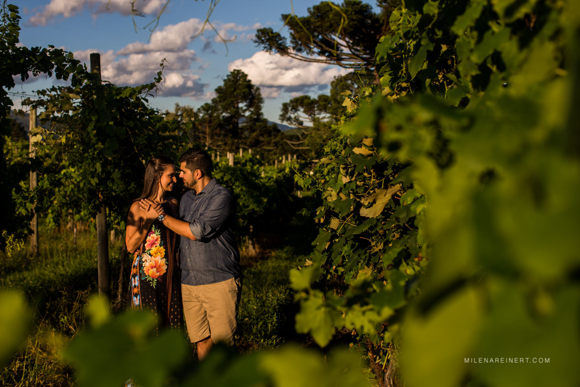 Foto Ensaio Pré Casamento | Júlia + Mário | Vinícola Thera Foto Ensaio Pré Casamento | Júlia + Mário | Vinícola Thera - Imagem 22