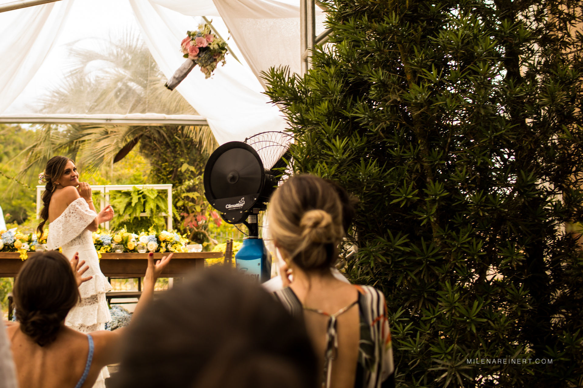 Foto Mini Wedding | Thais + Daniel | Florianópolis Foto Mini Wedding | Thais + Daniel | Florianópolis - Imagem 41